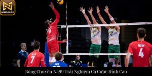 Tennis Na99 Trải Nghiệm Cá Cược Và Chiến Lược Thành Công