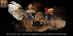 Trải Nghiệm Đá Gà Cựa Sắt Na99 Đỉnh Cao Cá Cược
