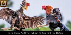 Đá Gà Cựa Dao Na99 Trải Nghiệm Cá Cược Đỉnh Cao Hoàn Hảo