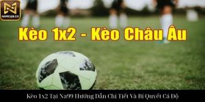 Tennis Na99 Trải Nghiệm Cá Cược Và Chiến Lược Thành Công