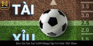 Xóc Đĩa Na99 Trải Nghiệm Cá Cược Đỉnh Cao Tuyệt Vời