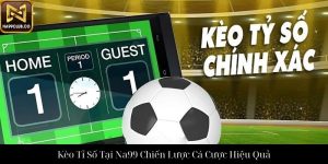 Tennis Na99 Trải Nghiệm Cá Cược Và Chiến Lược Thành Công