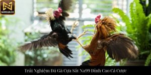 Đá Gà Cựa Dao Na99 Trải Nghiệm Cá Cược Đỉnh Cao Hoàn Hảo